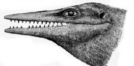 Tylosaurus